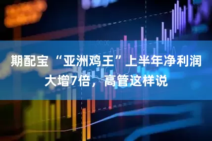 期配宝 “亚洲鸡王”上半年净利润大增7倍，高管这样说