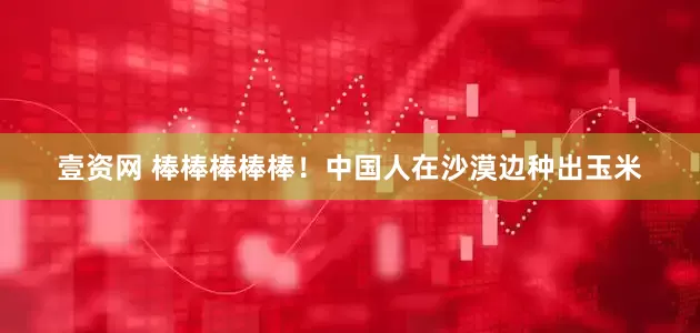 壹资网 棒棒棒棒棒！中国人在沙漠边种出玉米