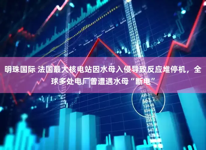 明珠国际 法国最大核电站因水母入侵导致反应堆停机，全球多处电厂曾遭遇水母“断电”