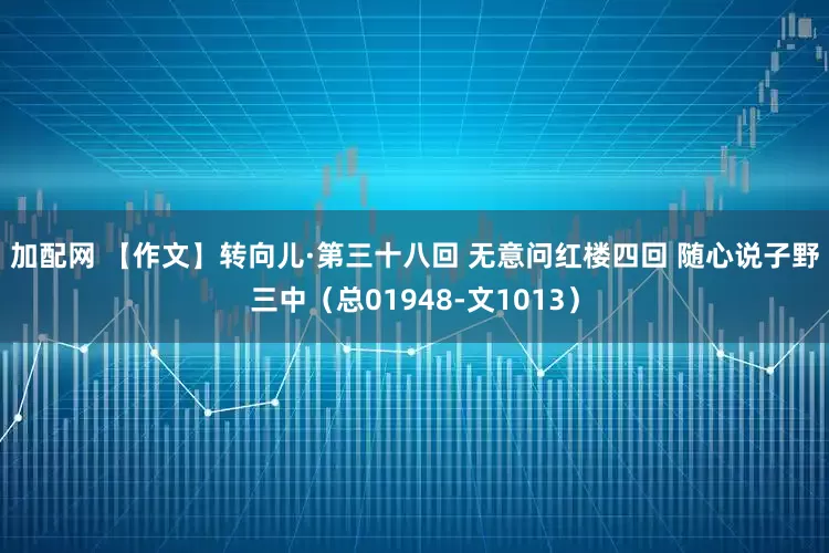 加配网 【作文】转向儿·第三十八回 无意问红楼四回 随心说子野三中（总01948-文1013）