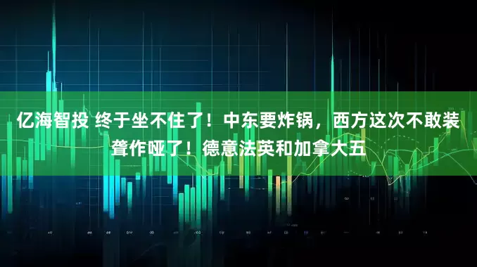 亿海智投 终于坐不住了！中东要炸锅，西方这次不敢装聋作哑了！德意法英和加拿大五
